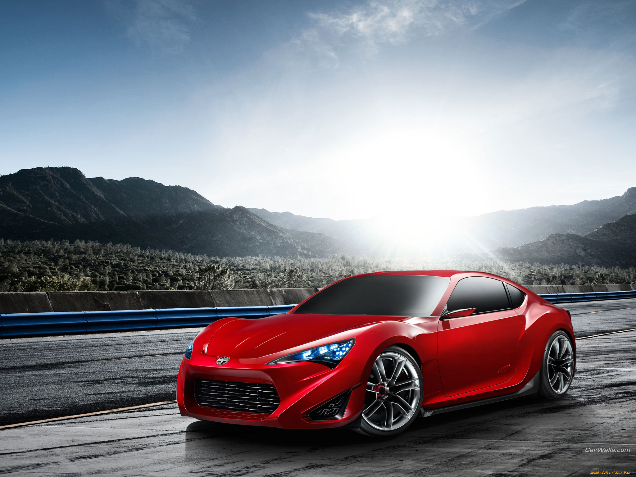, scion
